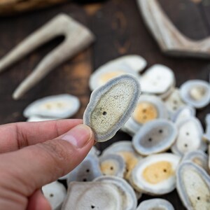 Rustic Natural Deer Antler Button – 1 button, 1-3 plus inches | One-of-a-Kind Antler Button, Naturally Shed Antler Toggle, Natural Buttons for Knitting