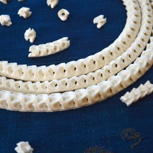 The Brianna Long Necklace: Long Snake Vertebrae Necklace in White, Real Snake Vertebrae, 7-12mm, 35 plus, 90-100 beads, Tribal Jewelry image 5