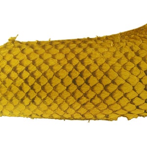 YELLOW Exotic Glossy Eco Friendly, CHROME free, real Tilapia Fish Leather Skin from Go Fish Leather. FLGYL. Sold by each skin.