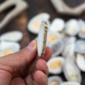 Rustic Natural Deer Antler Button – 1 button, 1-3 plus inches | One-of-a-Kind Antler Button, Naturally Shed Antler Toggle, Natural Buttons for Knitting