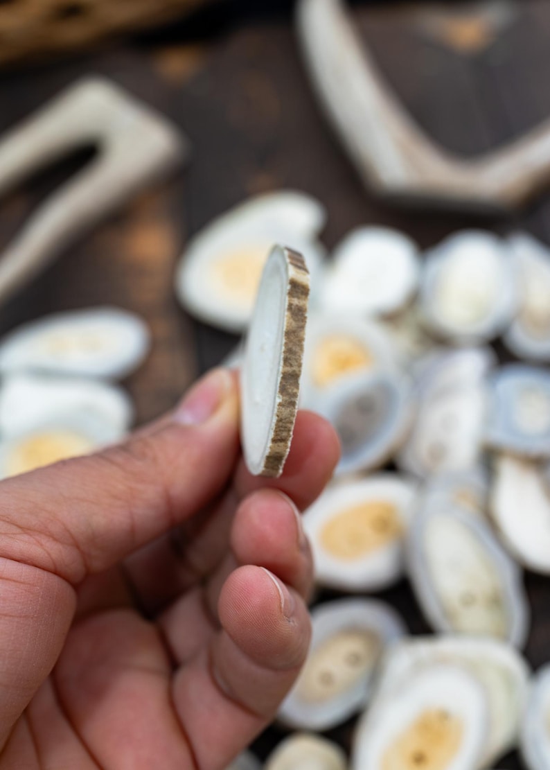 Rustic Natural Deer Antler Button – 1 button, 1-3 plus inches | One-of-a-Kind Antler Button, Naturally Shed Antler Toggle, Natural Buttons for Knitting
