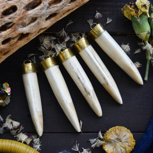 May include: Five ivory-colored pendants with gold-toned caps. The pendants are shaped like long, pointed teeth. They are arranged on a dark wooden surface.