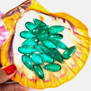 May include: A seashell filled with teal green glass teardrop beads. The beads are faceted and have a shiny finish.