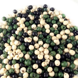 Peppermint Patty Mix: Real Acai Beads from South America, 100 beads, 6-10mm / Eco-Friendly Beads, Seeds, DIY Jewelry Making Supplies