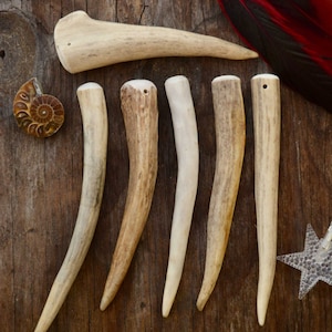 Deer Antlers: Naturally Shed Deer and Elk Antler Tip Pendants, 1 pc x 6&quot; average / Bone Beads, Natural Deer Tips, Deer Antler Pendants