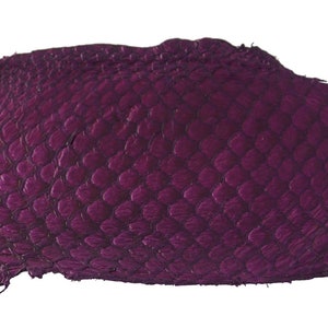 FUCHSIA Exotic Glossy Eco Friendly, CHROME free, real Tilapia Fish Leather Skin from Go Fish Leather. FLGFS. Sold by each skin.