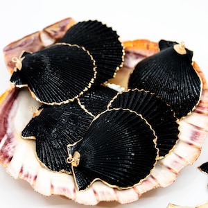 Op de afbeelding: Een verzameling zwarte schelpen met gouden rand, gepresenteerd op een natuurlijke schelp. De schelpen hebben een gladde, glanzende afwerking en zijn perfect voor knutselen of decoreren.