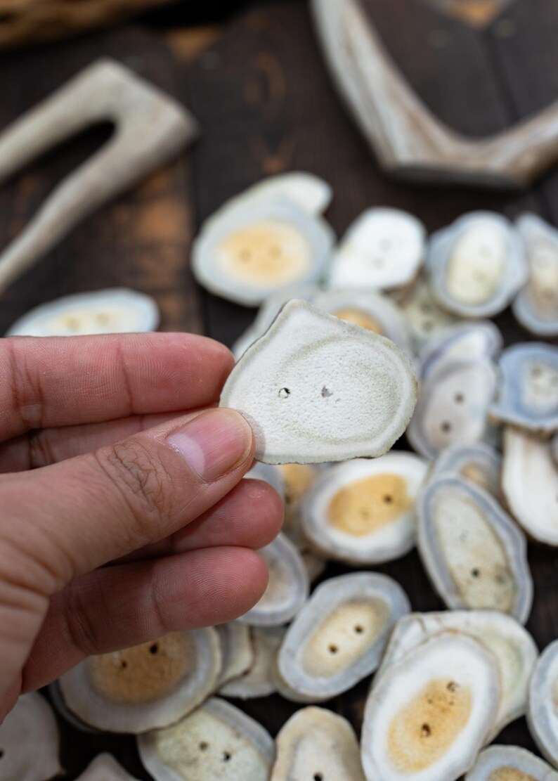 Rustic Natural Deer Antler Button – 1 button, 1-3 plus inches | One-of-a-Kind Antler Button, Naturally Shed Antler Toggle, Natural Buttons for Knitting