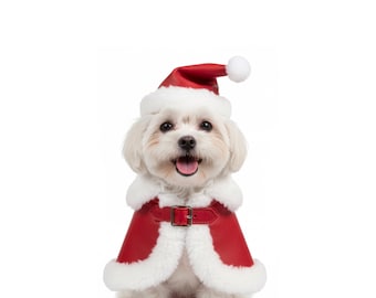 Capa de Papá Noel para perro con gorro a juego – Disfraz navideño para perro – Capa navideña de cuero rojo para mascotas con ribete de piel blanca – Conjunto para fotos navideñas