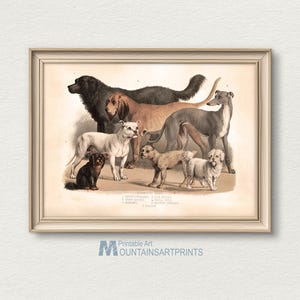Vintage Family Dogs Print, Antique Dog Painting Art, Printable Farmhouse Decor, Pets Portrait Wall Art, Animal Lovers Gift Digital Download