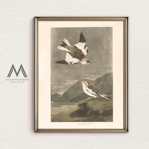Vintage Bird Printable Wall Art, Cottagecore Farmhouse Print, Neutral Animal Nursery Decor, Rustic Cottagecore Bird Print Download, M-172
