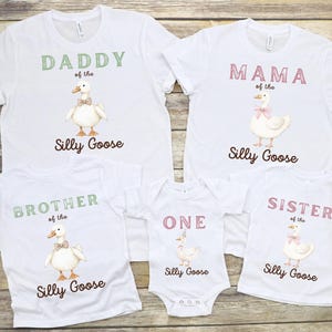 Custom One Silly Goose Birthday Tshirt, Kids Goose Birthday Outfit, Goose Family Matching Shirts, Mama Dada Goose Tee, Funny Birthday Gift