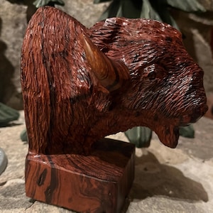 Handmade Desert Ironwood Buffalo head sculpture