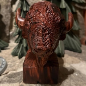Handmade Desert Ironwood Buffalo head sculpture