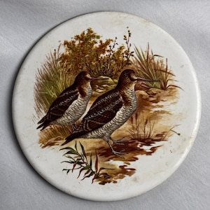May include: Round, white ceramic coaster featuring a detailed illustration of two birds with long beaks, set against a backdrop of brown and green foliage. The birds have brown and white patterned feathers. A decorative item.