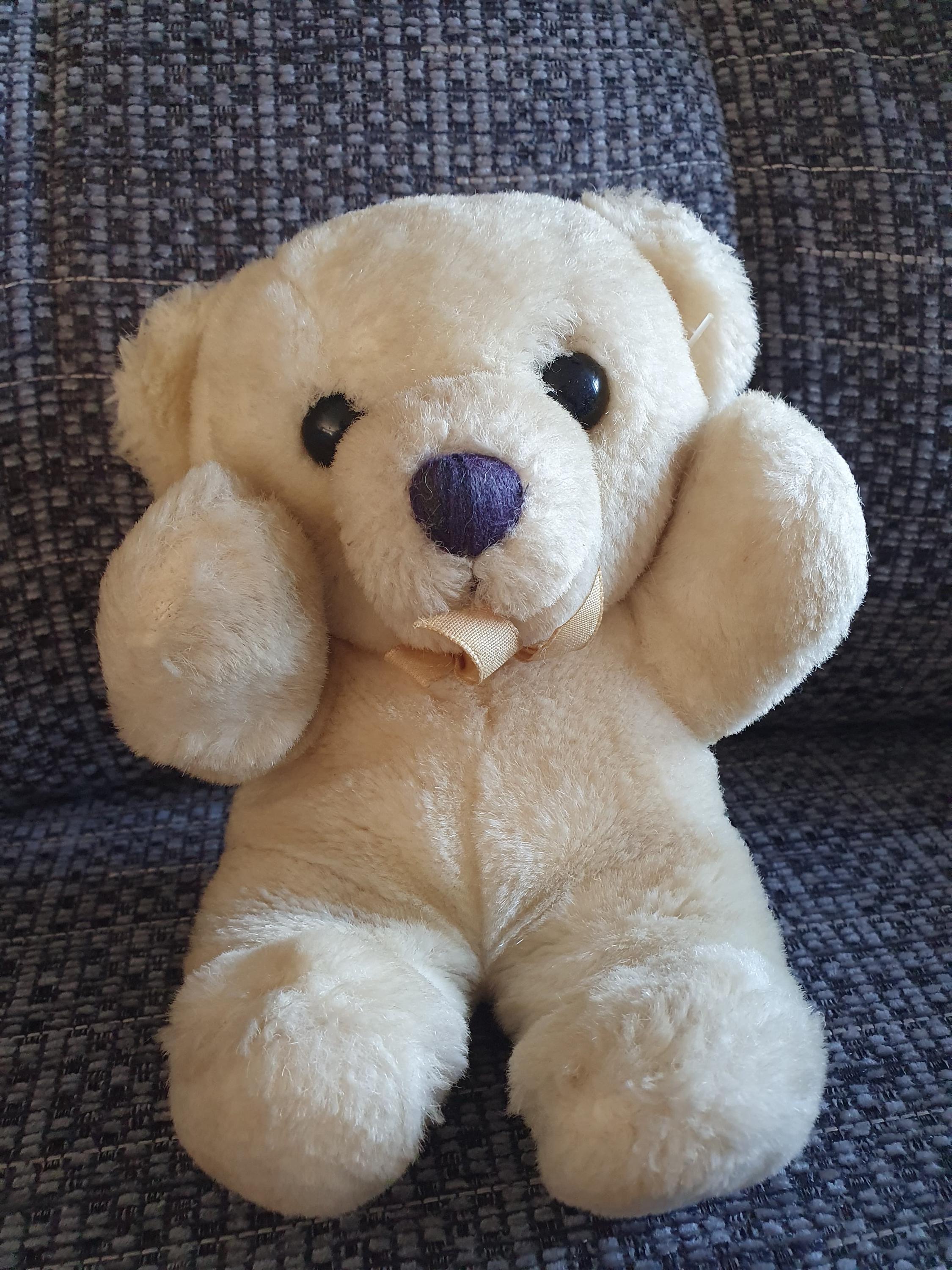 Dakin teddy bear 1979 shop