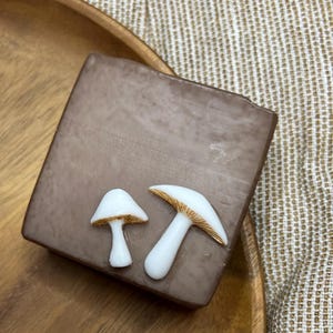 Organic Mushroom Soap: Choose your Scent
