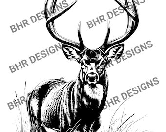 Cerf de Virginie dessin vectoriel jpg svg png pdf