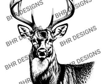 Cerf de Virginie dessin vectoriel jpg svg png pdf