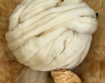 Rambely Sheep!  “Skittles"   Combed Wool Top   (4 OZ.)  Professionally Processed at Zeilinger Wool Co.