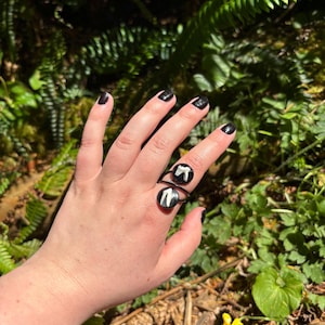 Coyote Tooth Double Bezel Ring — Adjustable – Stainless Steel Insect Jewelry – Handmade Oddity Ring – Nature Specimen Jewelry