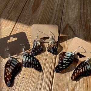 real butterfly earrings