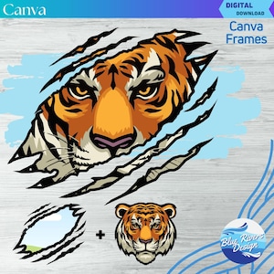 Puede incluir: Gráfico de descarga digital que presenta la cara de un tigre rompiendo una superficie rasgada, con un fondo azul claro. Incluye un gráfico de cabeza de tigre separado y un marco rasgado. El texto "Canva Frames" es visible.