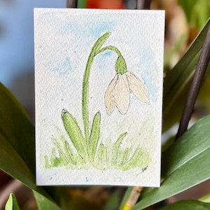 May include: A watercolor painting of a snowdrop flower. The flower has a white bell-shaped bloom, a green stem, and green leaves. The background is a light blue wash, and the painting is on a small, rectangular piece of paper.