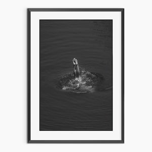 Peut inclure: Une photographie en noir et blanc d'une personne plongeant dans une étendue d'eau. Les jambes de la personne sont visibles lorsqu'elle entre dans l'eau.