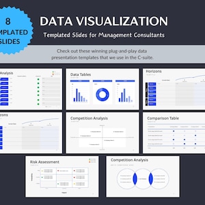 Data Visualization Powerpoint Templates for Management Consultants | Powerpoint Template | Fractional Consultant Presentation