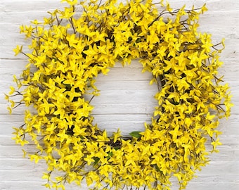 Yellow Spring Forsythia Wreath for Front Door, Summer Rustic Farmhouse Porch Decor, Housewarming Gift, Year Round Wreath