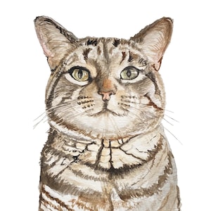 Watercolor Cat Painting Custom, Cat personalized Hand Painted