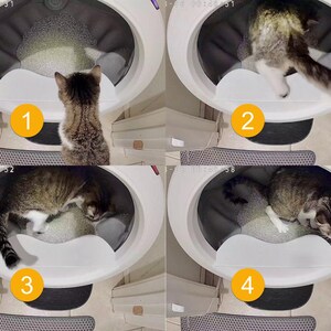 Op de afbeelding: Een witte, ovaalvormige automatische kattenbak met een grijze binnenbak gevuld met kattengrit. Vier opeenvolgende panelen tonen een cyperse kat die de unit betreedt, op de grijze vloer stapt en zich binnen de afgesloten ruimte beweegt.