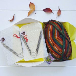 May include: A knitting kit with a large ball of multicolored yarn in shades of green, orange, and brown. The kit includes circular knitting needles, stitch markers, and a pair of red stitch holders. The kit is presented in a white box with yellow tissue paper.