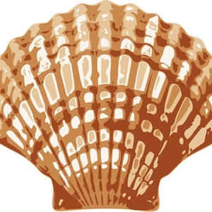Seashell SVG - cut file - Layered - Cricut, Silhouette, Scan N Cut, Paper Crafting, Scrapbooking, Junk Journals - Ocean-themed