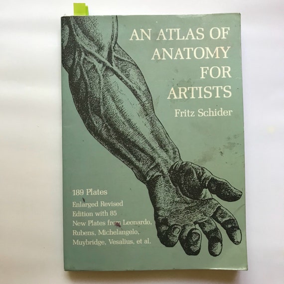 an atlas of anatomy for artists by fritz schider vintage etsy image 0