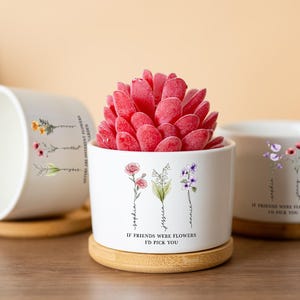 Puede incluir: Maceteros de cerámica blanca con diseños florales y el texto "If friends were flowers I'd pick you." Una maceta contiene una suculenta roja. Cada maceta se encuentra sobre un posavasos de madera redondo.
