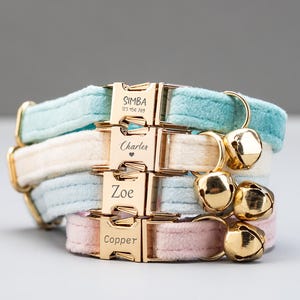 Könnte beinhalten: Gestapelte, farbenfrohe Katzenhalsbänder in Pastelltönen von Blau, Creme und Rosa. Jedes Halsband hat eine goldfarbene Schnalle mit eingraviertem Namen und Telefonnummer. Goldene Glöckchen hängen daran.