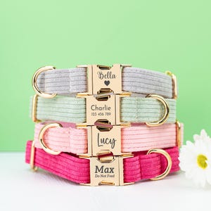 Dog Collar, Dog Collar Personalized,Dog Collar Engraved, Dog Collar Boy,  Dog Collar Girl, Dog Collar with Choose Your Color Buckle,Pet Gift