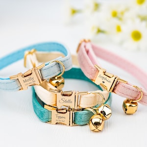 Può includere: Quattro collari per gatti personalizzati con fibbie e campanelle dorate. I collari sono in velluto blu, rosa, crema e turchese. I nomi sui collari sono Molly, Sophie, Stella e Tyson.