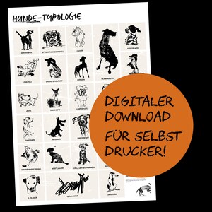 Könnte beinhalten: Ein schwarz-weißes druckbares Poster mit Illustrationen verschiedener Hunderassen. Das Poster trägt den Titel "Hunde-Typologie" und enthält den Text "Digitaler Download für Selbst Drucker!" in einem großen orangenen Kreis.