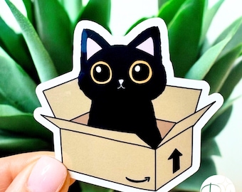 Black Cat Sticker – Shipping Box Design, Funny Kawaii Style