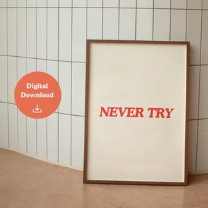 May include: A framed print with a white background and a red inscription that reads "NEVER TRY".