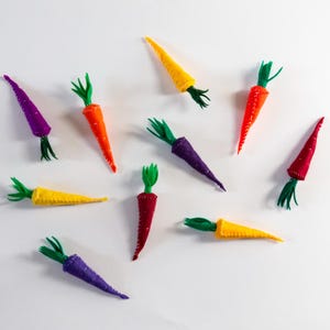 Mystery Rainbow Carrot Catnip Toy