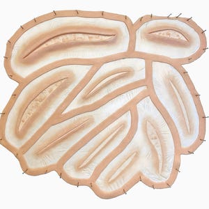 9 piece cut prosthetic / silicone / latex free/ halloween prosthetic / sfx makeup / sfx cuts / wound