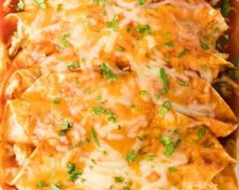 BEST Recipe for Chicken Enchilada Recipe
