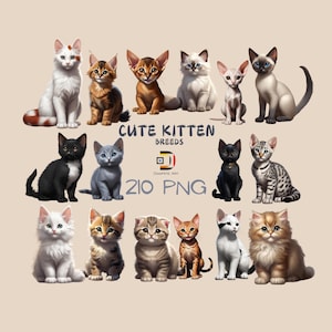 Cute Kitten Breeds Clipart Bundle | 210 PNG Digital Download | Cat Graphics for Sublimation & Craft Projects | Animal Illustration Bundle
