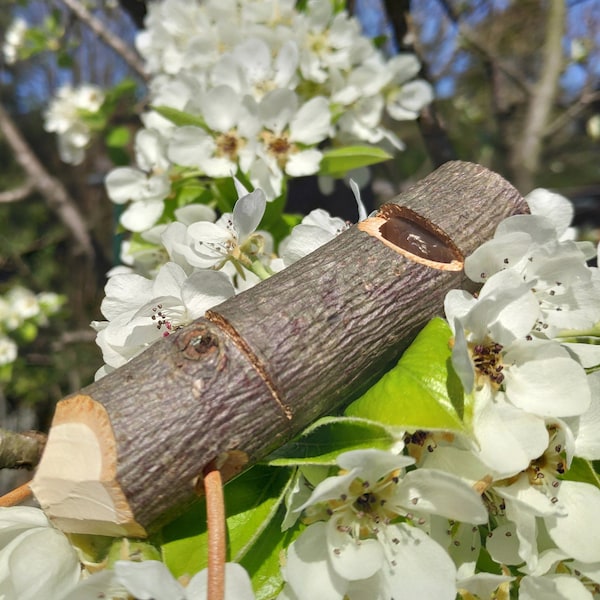 Boy Scout whistle, children whistle, hazel whistle, wooden pendant, only knife used, pocket whistle