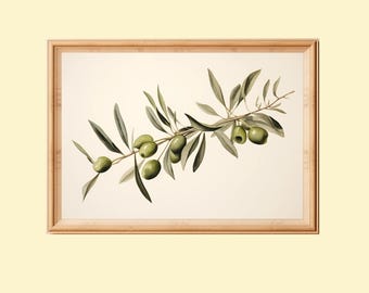 Botanische print olijftak: rustieke boerderijkeukenkunst (digitale download)