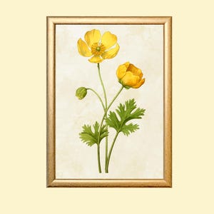 Vintage Buttercup Painting, Flower Print, Yellow Flower Print, Farmhouse Decor, Floral Wall Decor, Botanical Wall Art, Instant Download